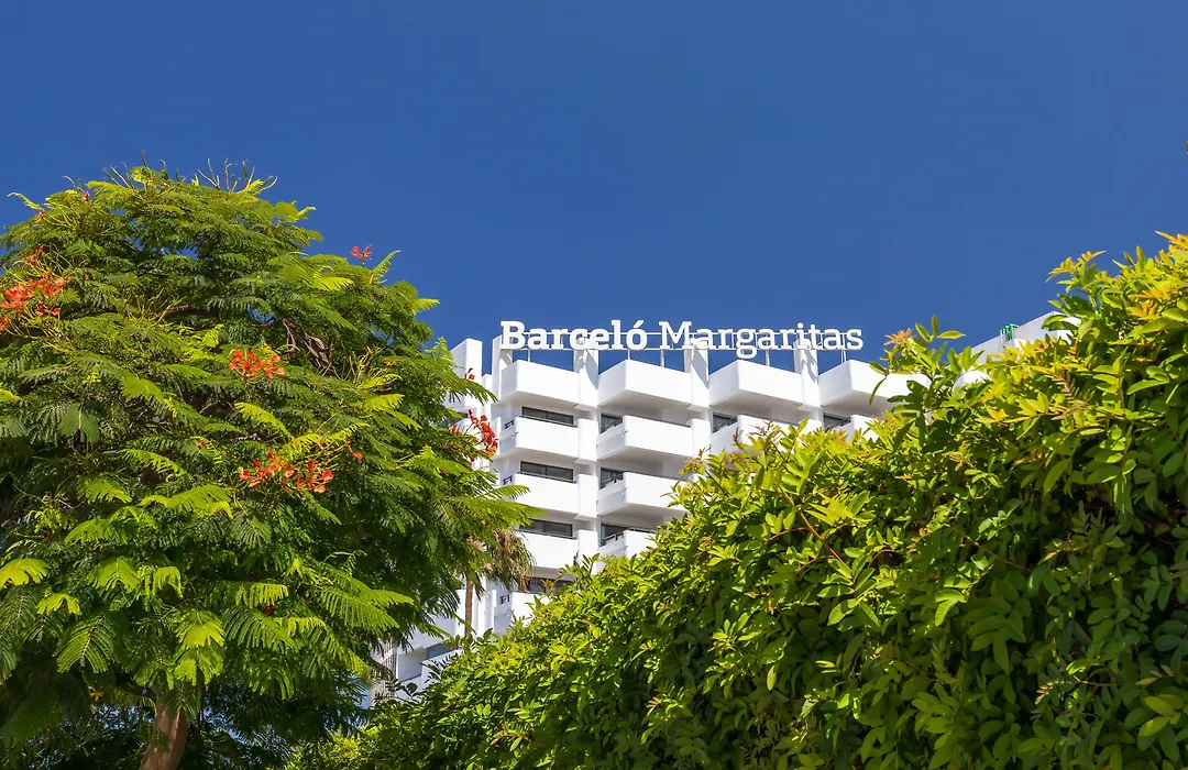 Barcelo Margaritas Royal Level Adults Only-1